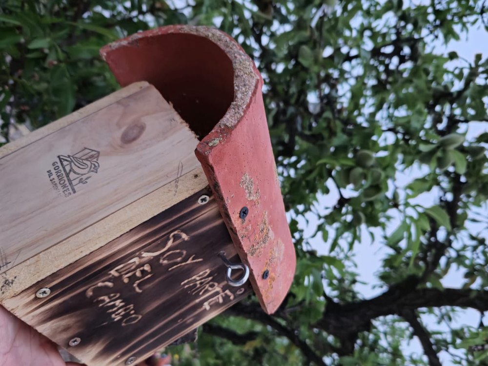 Casita para gorriones con tejado de teja y el logo de Gorriones del Sabinar grabado en la madera